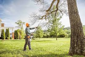 Best Tree Preservation Services  in West Babylon, NY